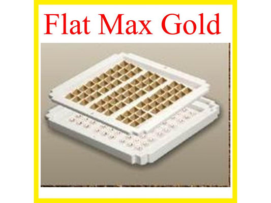 FLAT MAX GOLD IS A VASTU REMEDIES FOR CENTER ACTIVATION IN HOME JITEN PYRAMID DADAR