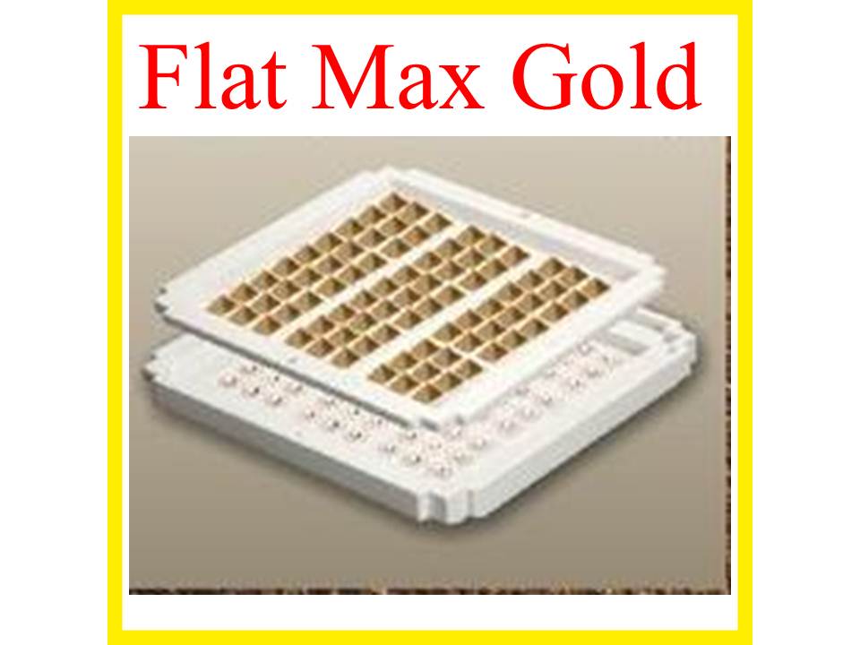 Flat Max Gold Is A Vastu Remedies For Center Activation In Home